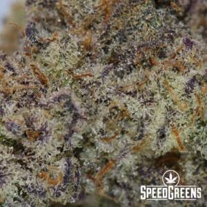 Mac Daddy Top Shelf Weed (AAAA) – Order Weed Online - Image 3