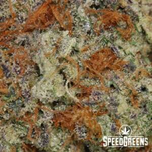 The Wiz Top Shelf Weed (AAAA) - Best Sativa Strains - Image 3