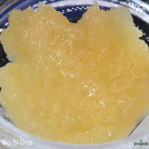 Galaxy Extracts | Do Si Dos (Indica) | Live Resin - Image 2