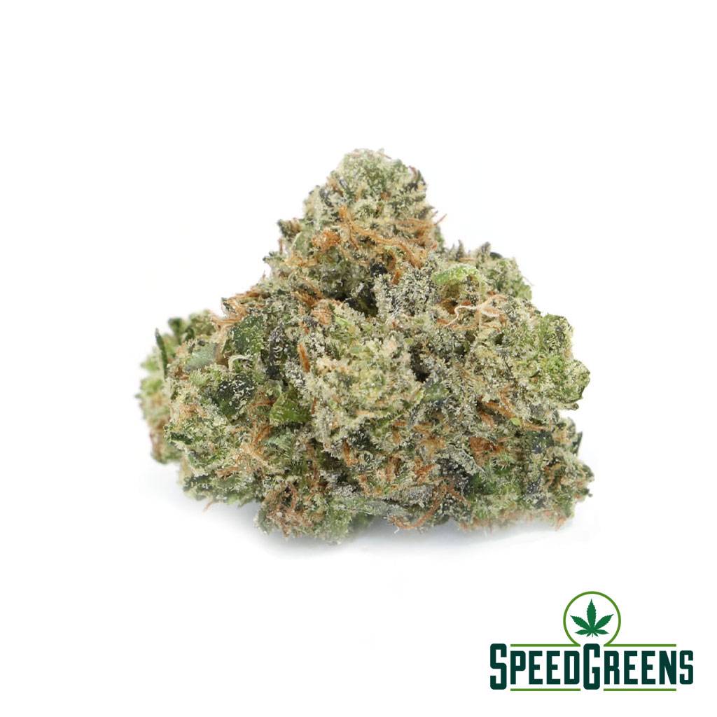 Tom Ford Pink Kush (AAA+) | Indica Strains | Speed Greens