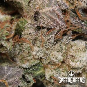 Death Bubba (AAAA) Craft Top Shelf – Buy Weed Online - Image 3