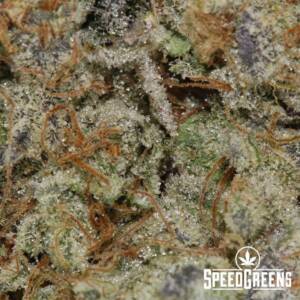 Space Bomb (AAAA) Top Shelf - Image 3