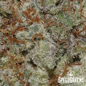 Diamond Widow (AAA) - Sativa Strains - Image 4