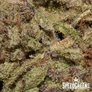 Purple Lightning (AA+) - Weed Strains - Image 4