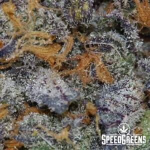 Sour Diesel Haze Craft Top Shelf Weed (AAAA) - Best Sativa Dominant Hybrids - Image 4