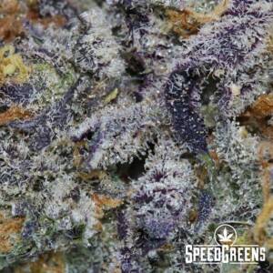 Sour Diesel Haze Craft Top Shelf Weed (AAAA) - Best Sativa Dominant Hybrids - Image 5