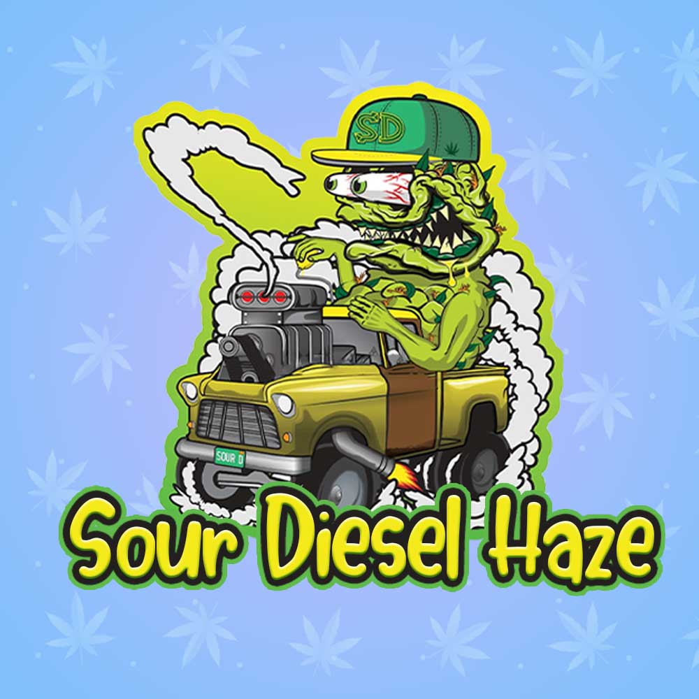 sour-diesel-haze