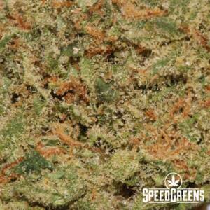 Super Sour Diesel (Smalls) (AAA) - Best Sativa Strains - Image 4