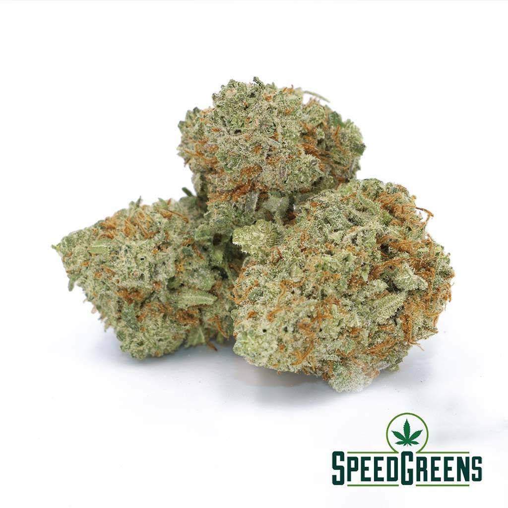 Cannalope Haze (AA) | Sativa Strains | Speed Greens