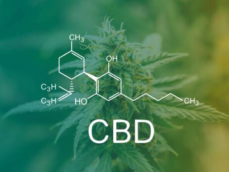 Concepts of CBD on the background of cannabis. Speed Greens.