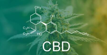 Concepts of CBD on the background of cannabis. Speed Greens.