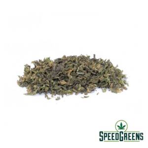 King Louis XIII Trim