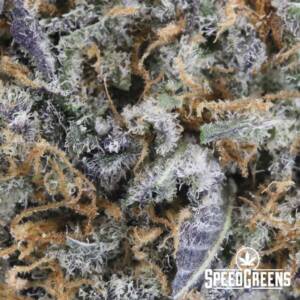 33 Degrees AAAA Craft Top Shelf- Indica Strains - Image 3