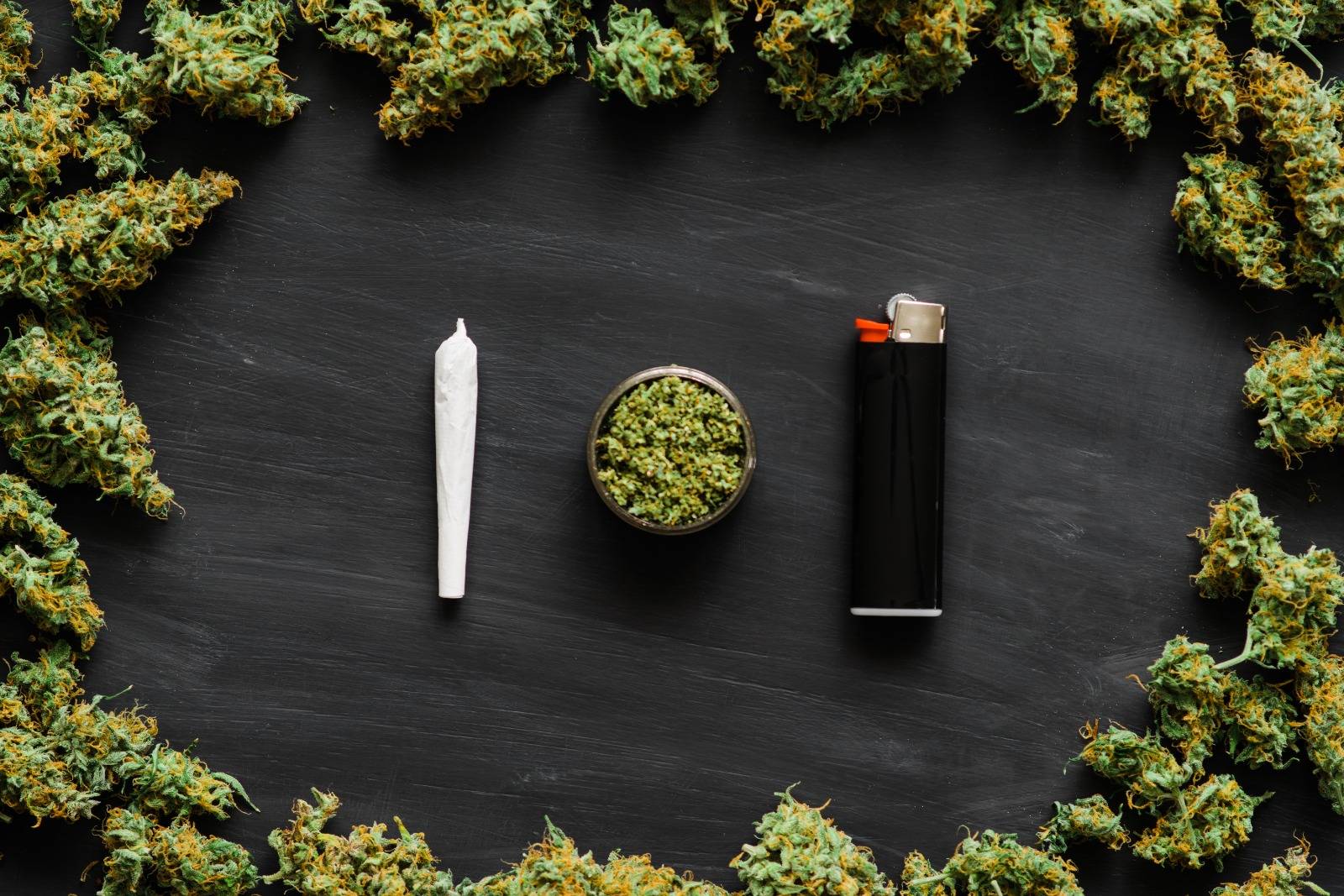 Celebrate 420 with meaning with cannabis, joint, and lighter. SpeedGreens.