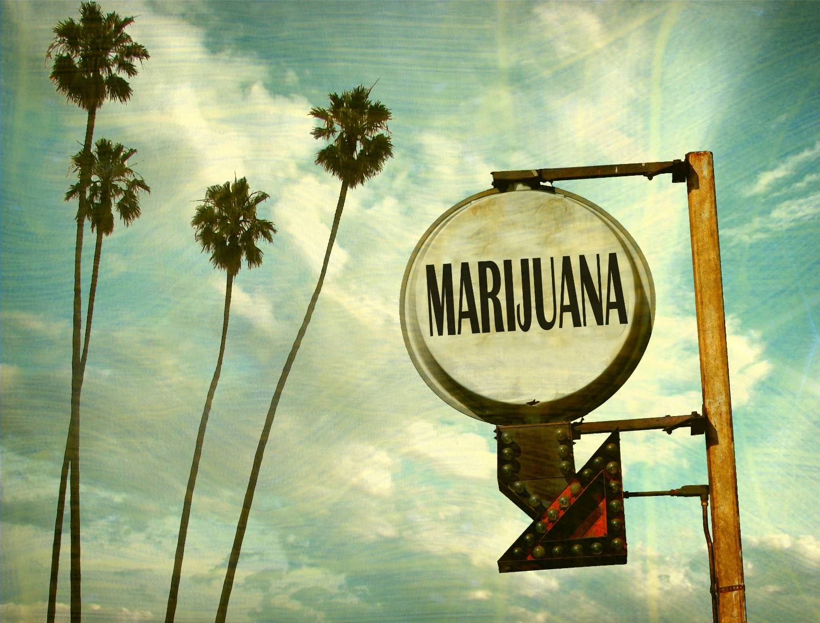 Vintage photo of marijuana sign with palm trees for 420 meaning. SpeedGreens