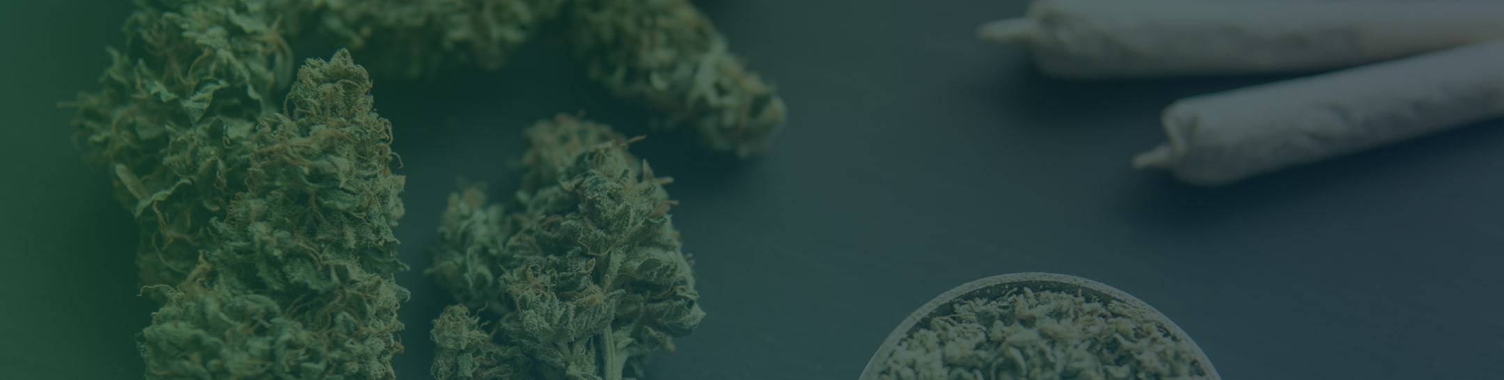 Discover the Simplicity of Buying Weed Online in Canada