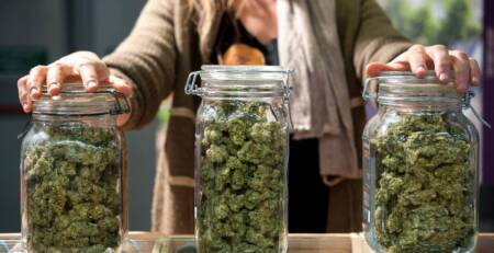 Three Glass jars full of Alberta Cannabis at a store. Speed Greens