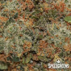 Death Star AA+ - Indica Strains - Image 3