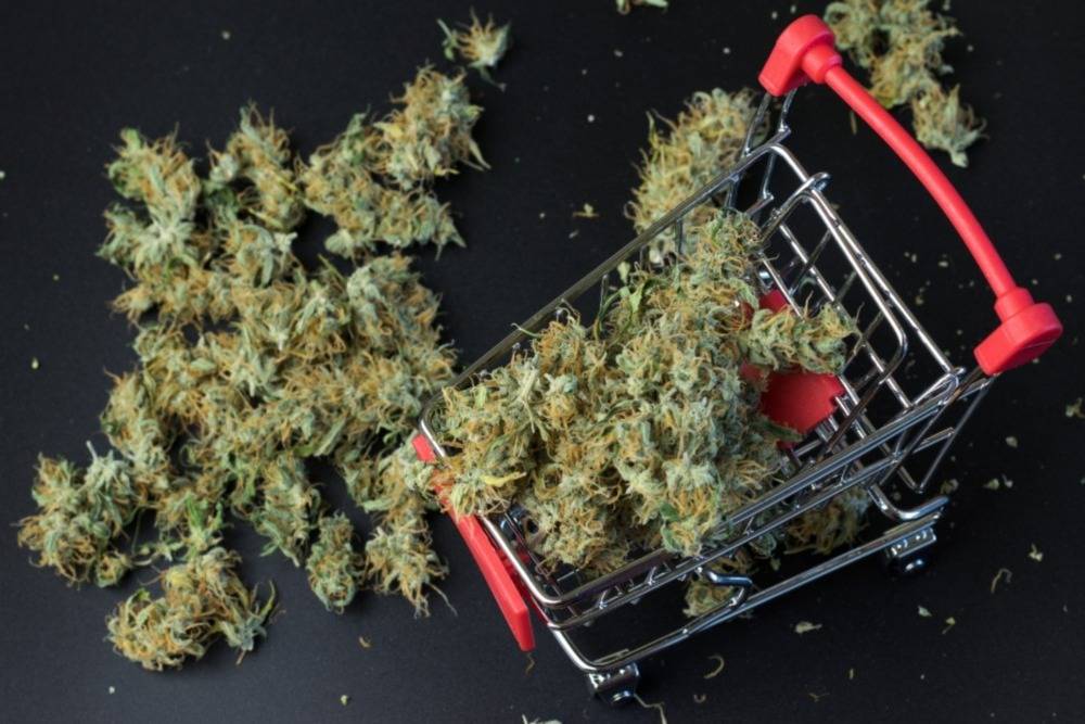 Shopping cart top view full of BC weed. Speed Greens