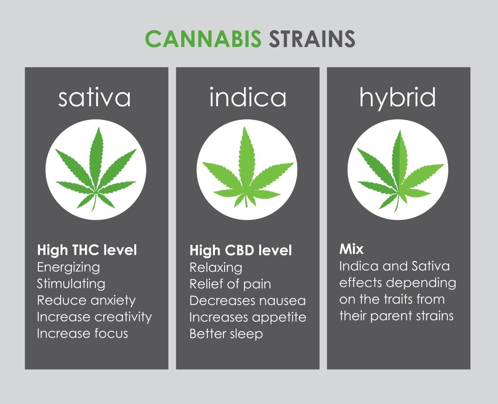 Ontario marijuana showing benefitis of indica, sativa, and hybrid strains. Speed Greens