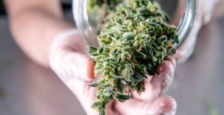 Marijuana buds storage in the glass jar for Vancouver Weed Delivery. Speed Greens