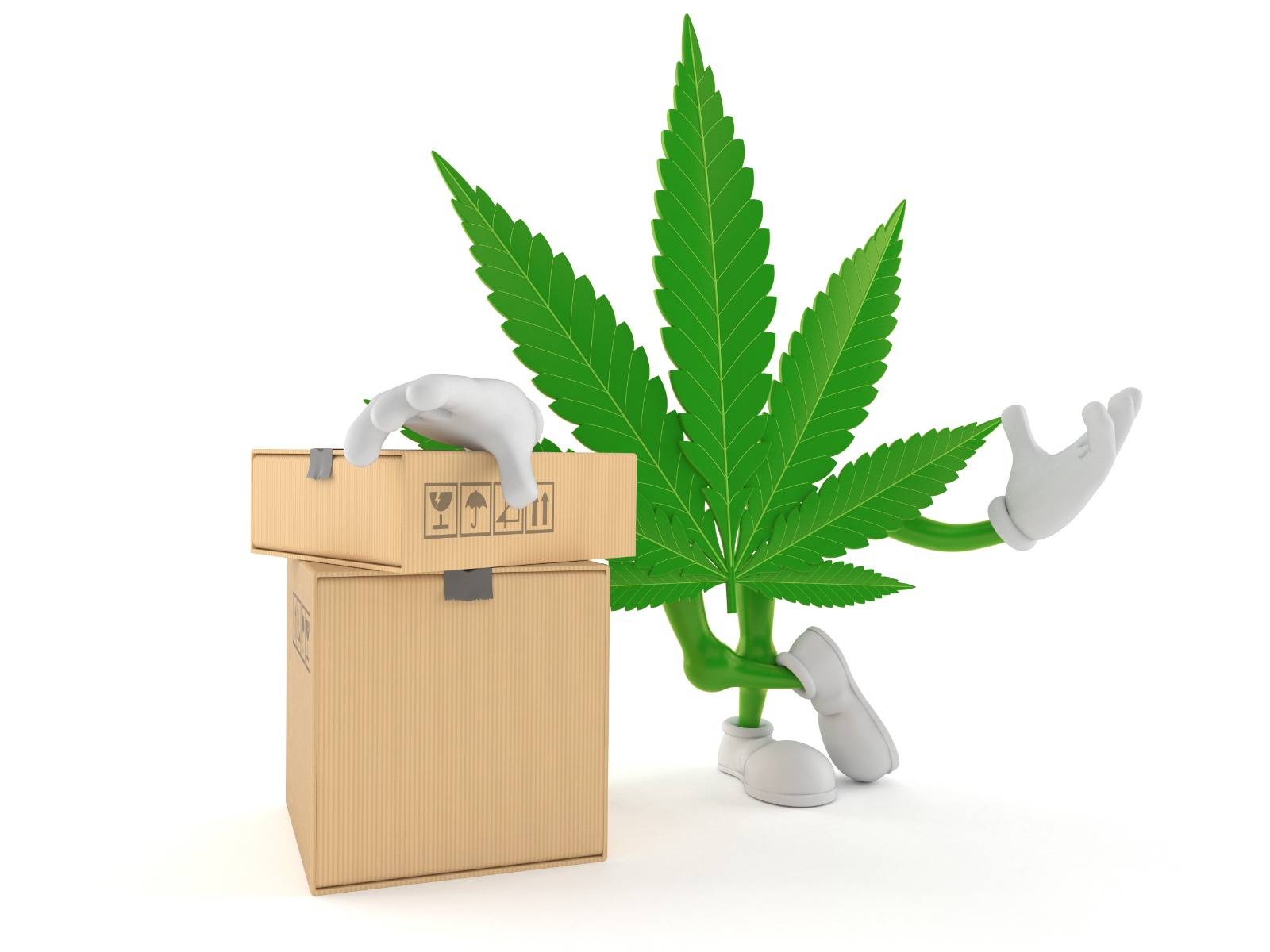 Cannabis character with boxes for Vancouver Weed Delivery. Speed Greens