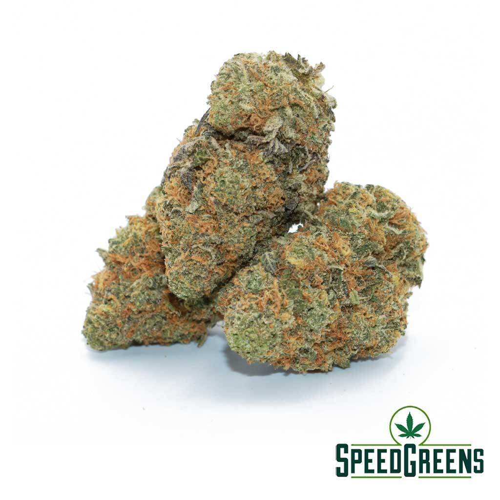 Big Buddha Cheese is one of the best weed strains at Speed Greens.