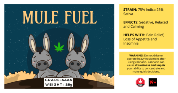Mule Fuel scaled