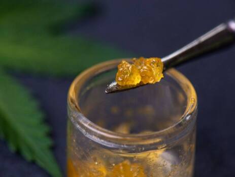 Cannabis concentrate live resin and shatter weed on a dabbing tool