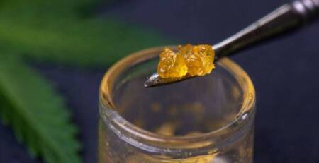 Cannabis concentrate live resin and shatter weed on a dabbing tool