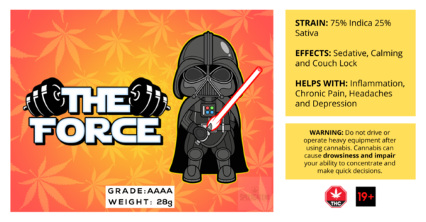 The Force scaled