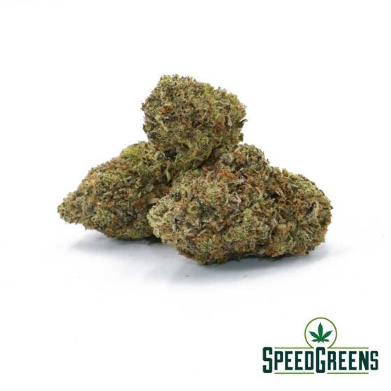 Gas Monkey AAA Indica Strains Speed Greens