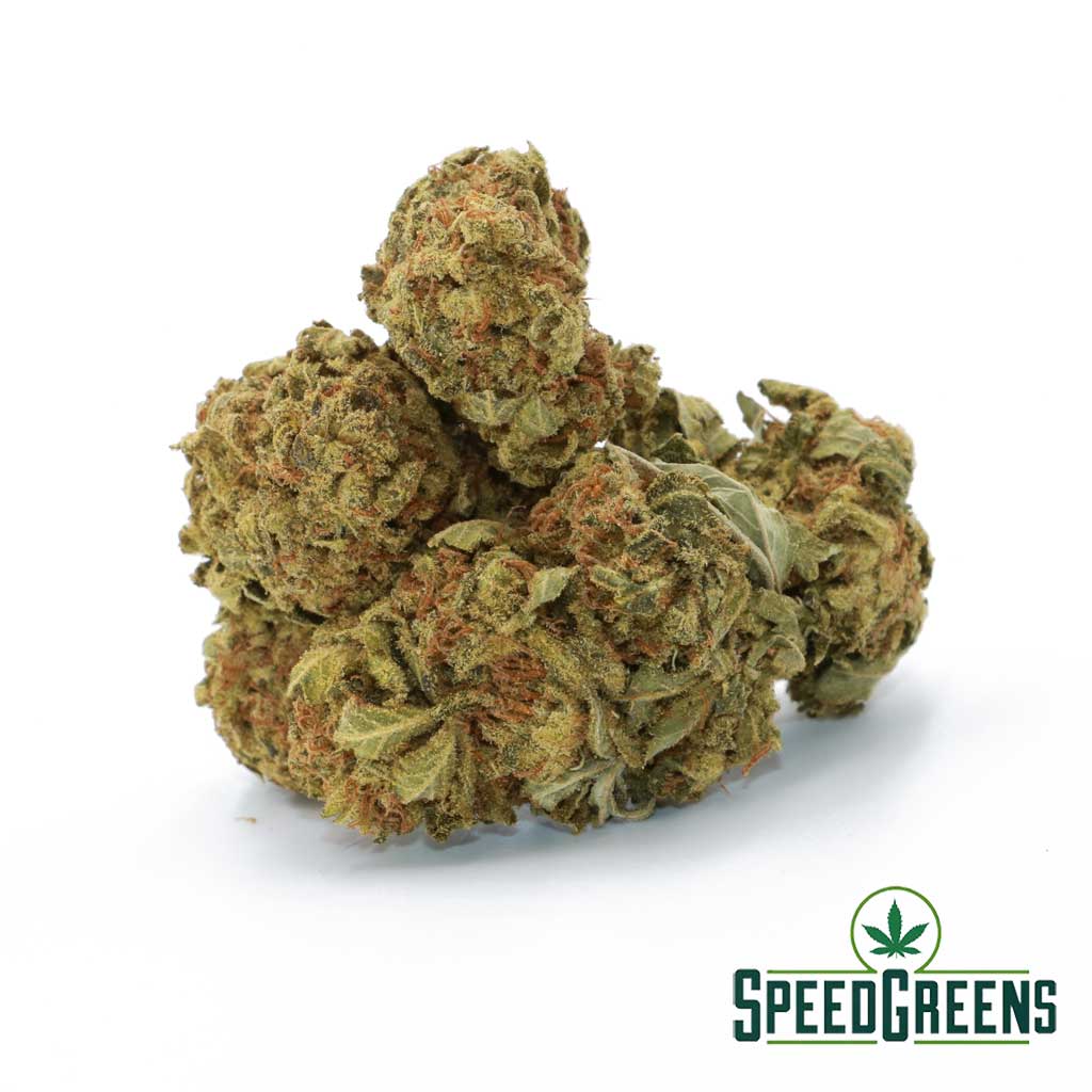 Jolly Rancher is one of the best weed strains at Speed Greens.