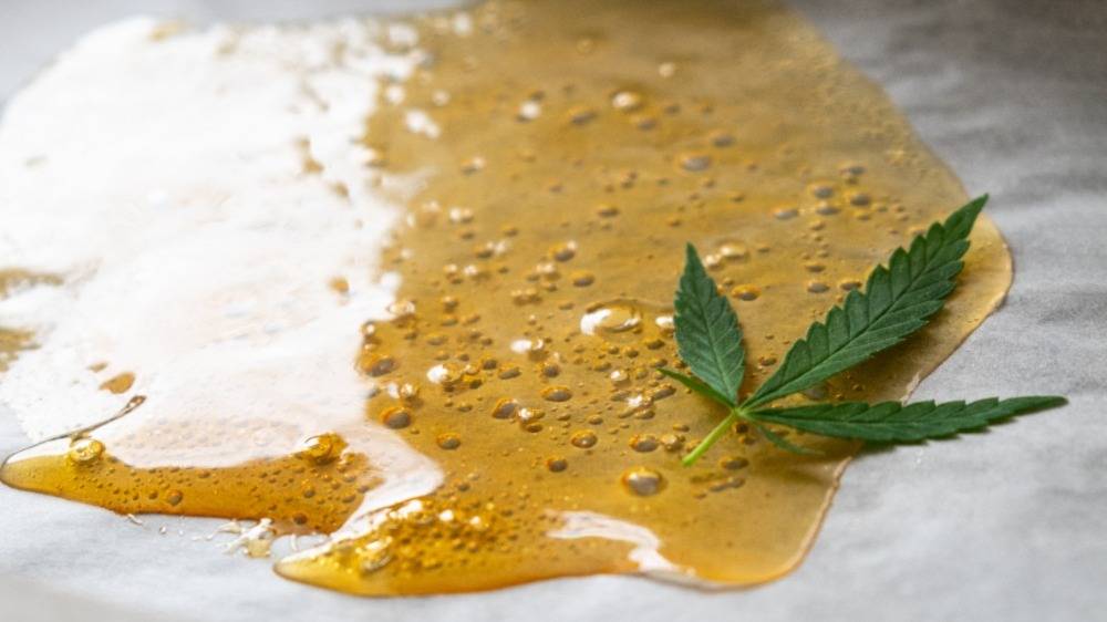 Strong extract of shatter in Canada. Speed Greens.