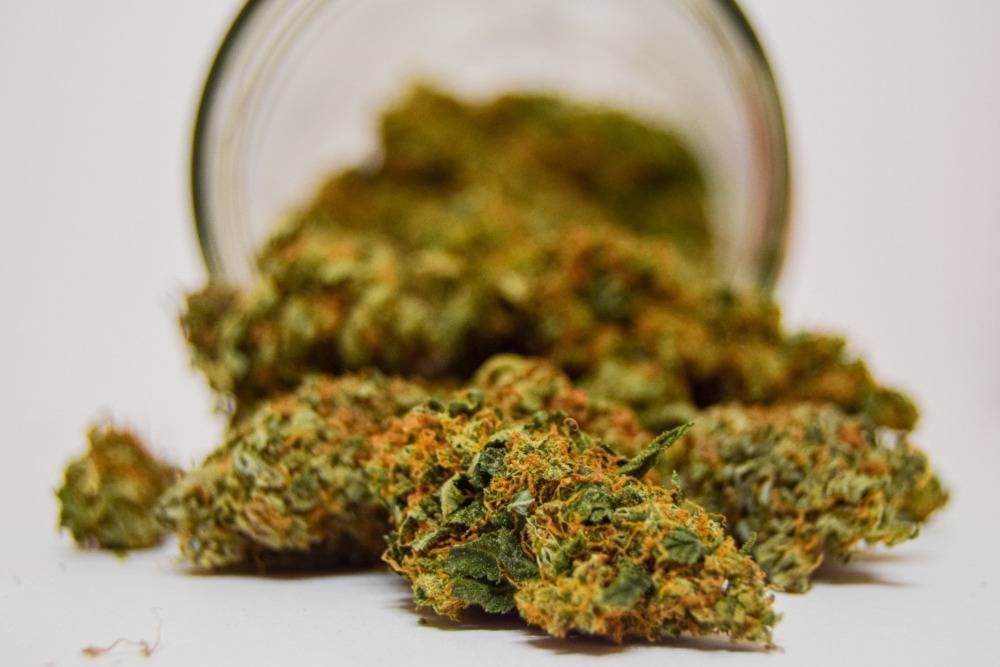 Best weed strains stored in a jar. Speed Greens