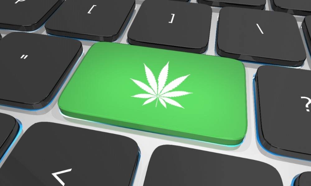 Marijuana Weed Leaf on Laptop for buying Shatter in Canada. Speed Greens.