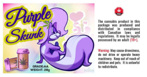 Purple Skunk (AA) - Image 4