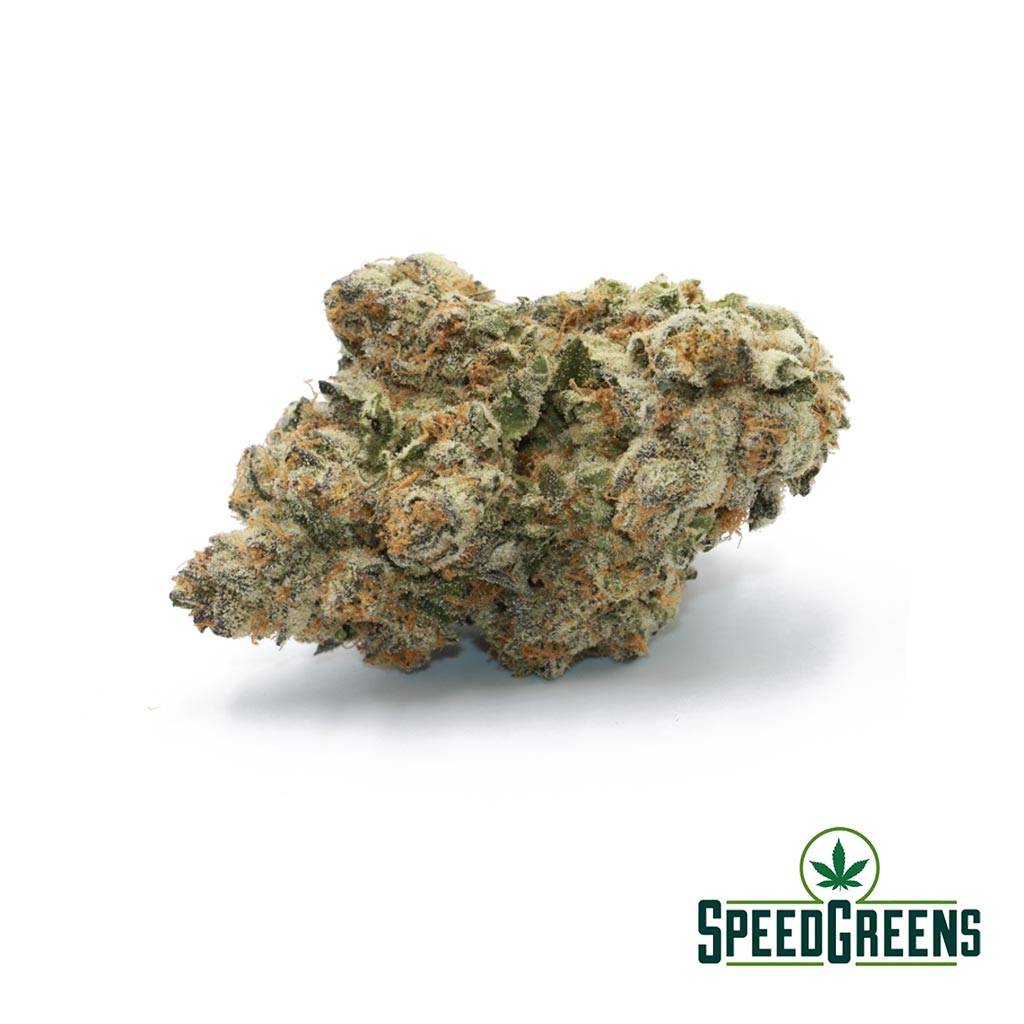 Jungle Sunset is one of the best weed strains at Speed Greens.