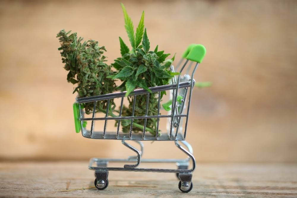 Buy weed online for fast and discreet delivery. Speed Greens