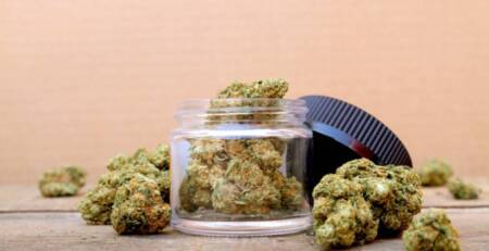 Buy weed online for quality and fresh buds at Speed Greens.