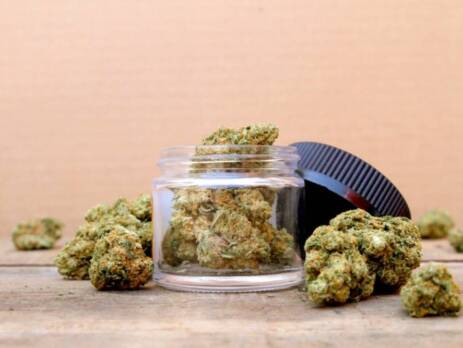 Buy weed online for quality and fresh buds at Speed Greens.
