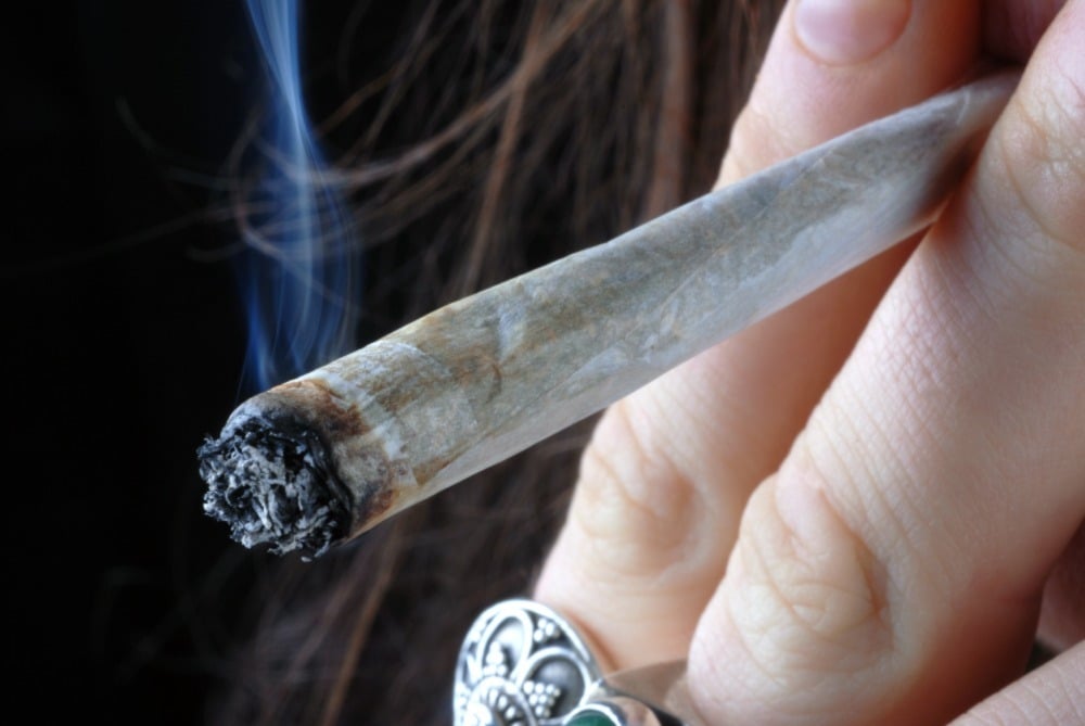 Smoking prerolls is fast, easy, and convenient at Speed Greens.