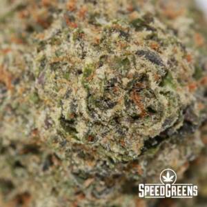 White Rhino Craft (AAAA) Top Shelf - Image 3