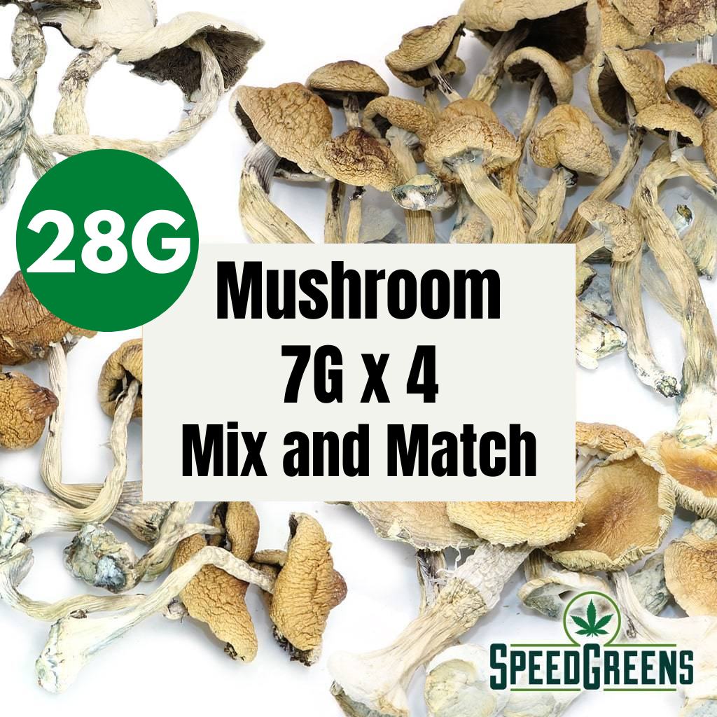 Magic Mushrooms | Mix and Match 28g (7g x4) | Novice – Medium | Speed Greens