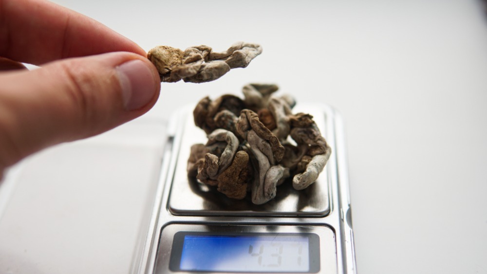 Buy magic mushrooms from Speed Greens. We accurately weigh our products. 