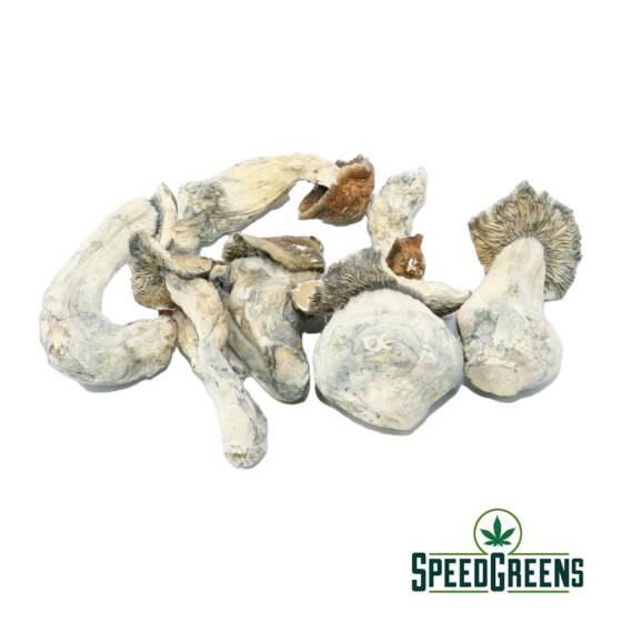 Makilla Gorilla Magic Mushrooms (Premium) | Speed Greens