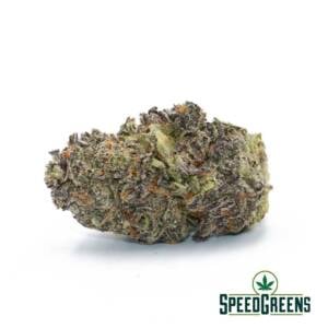 Purple Champagne (AAAA) - Image 3