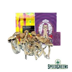 Magic Mushrooms Pack - Spring Break Edition - Image 1