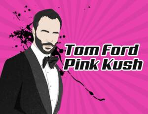 TOM FORD PINK KUSH (AAAA) Top Shelf - Image 4