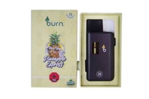 BURN Disposable Vapes (2g THC) *NEW* - Image 3